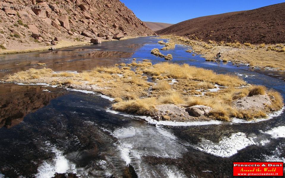 CILE - Verso il Pueblo de Machuca - 10.jpg